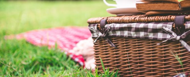 happy national picnic month