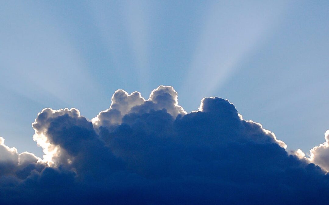 A Year of Silver Linings