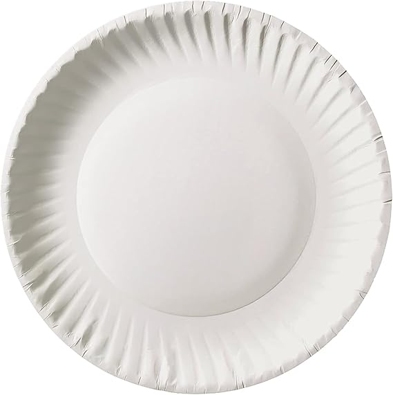 9" White Uncoated Paper Plate 1000/case