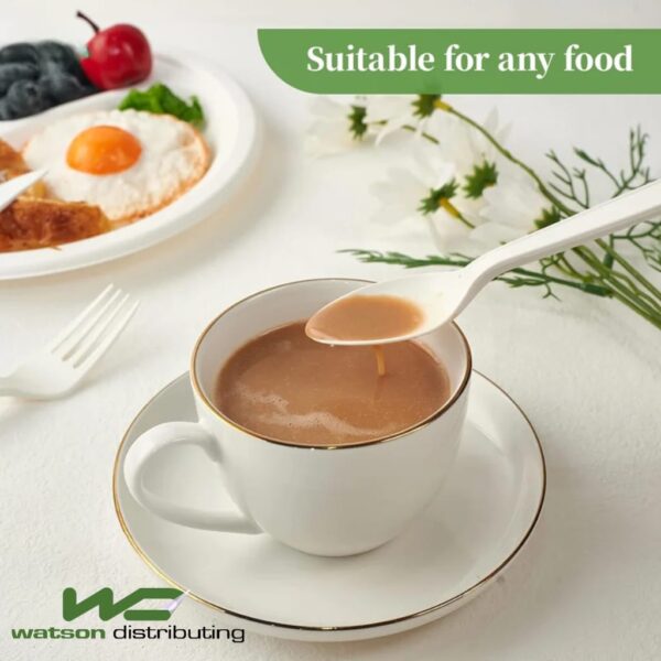 Compostable Heavy Weight Spoon Cpla Plastic White 6-1/2" 1000/case)