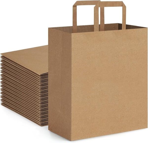 10" X 5" X 13" Paper Bag Round Handle 250/case)