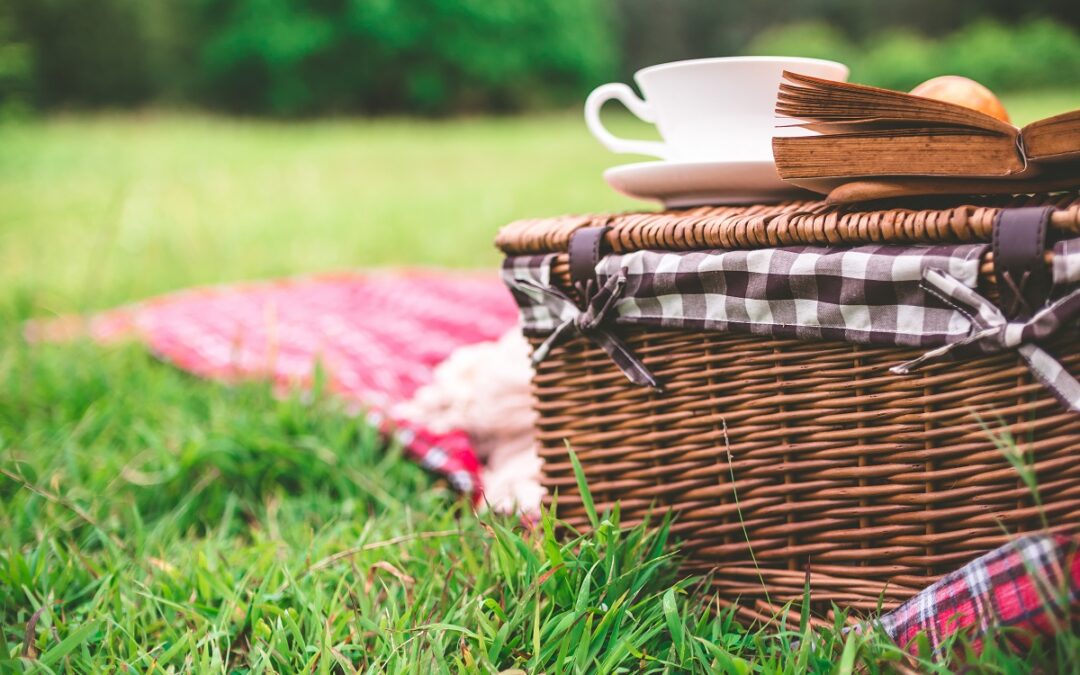 Happy National Picnic Month!